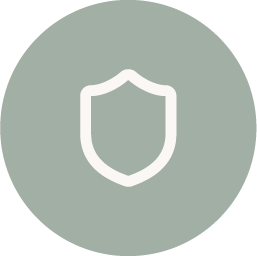 Icono seguridad