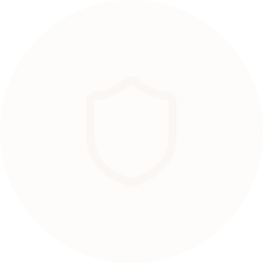 Icono seguridad